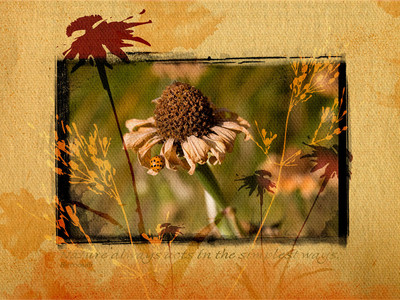 Nature Acts